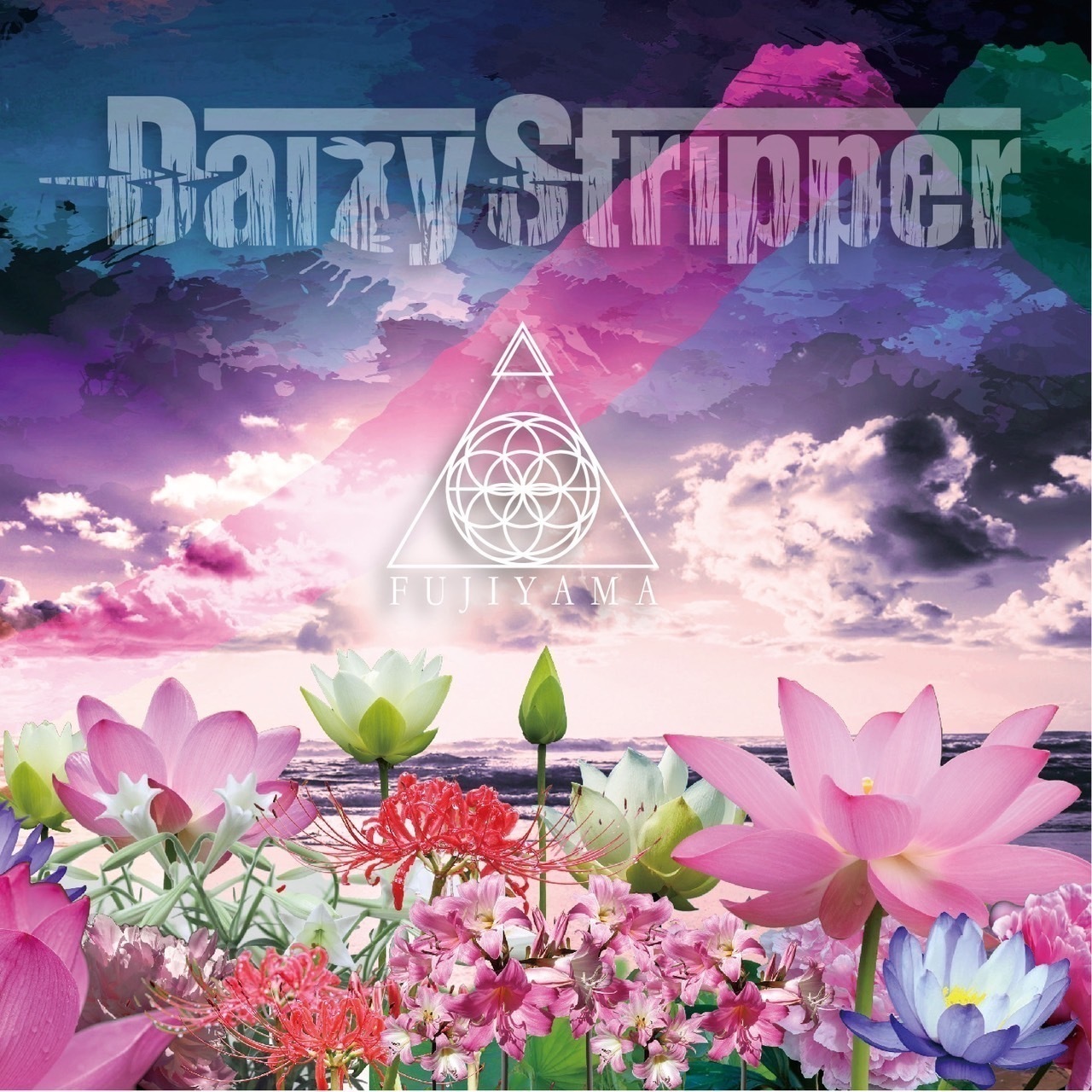 DaizyStripper Official WebSite